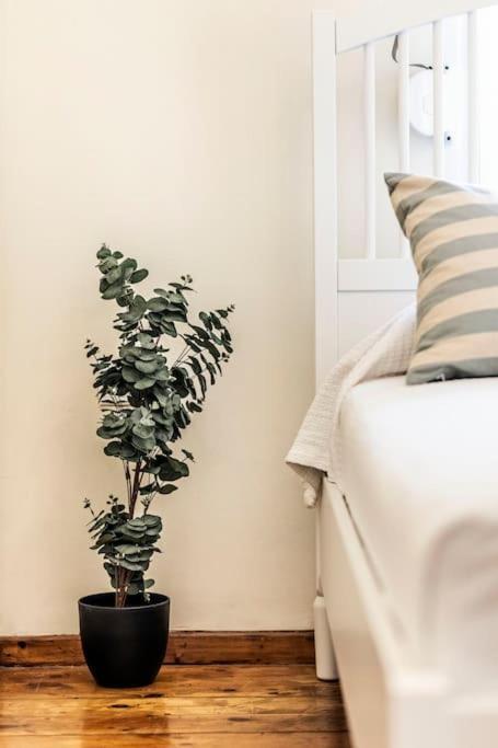 Diana'S Centrally Located Apt@ Old Town Of Corfu Corfu  Екстер'єр фото